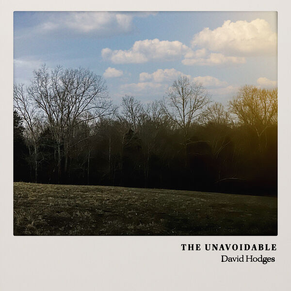 David Hodges|The Unavoidable David Hodges|The Unavoidable