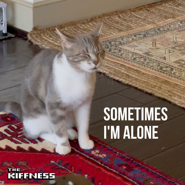 The Kiffness|Sometimes I'm Alone (Lonely Cat) The Kiffness|Sometimes I'm Alone (Lonely Cat)