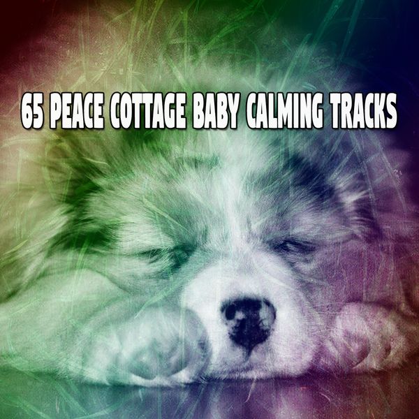 Relaxing With Sounds of Nature and Spa Music Natural White Noise Sound Therapy|65 Peace Cottage Baby Calming Tracks