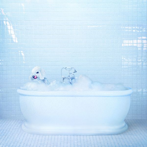 Frankie Cosmos - Vessel Frankie Cosmos - Vessel