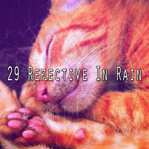 Rain Sounds - 29 Reflective in Rain Rain Sounds - 29 Reflective in Rain