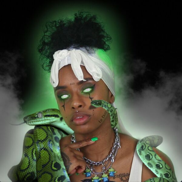 Gemini Aaliyah|To Fear