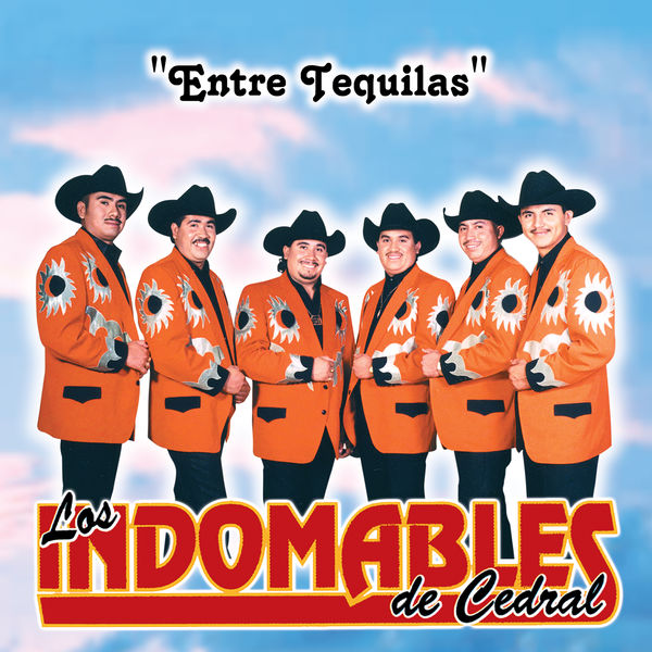 Los Indomables De Cedral|Entre Tequilas