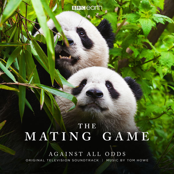 Tom Howe|The Mating Game - Against All Odds (Original Television Soundtrack) Tom Howe|The Mating Game - Against All Odds (Original Television Soundtrack)