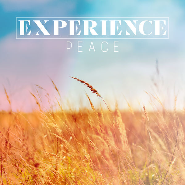 Calming Music Sanctuary|Experience Peace: Release the Negativity in Your Life Calming Music Sanctuary|Experience Peace: Release the Negativity in Your Life