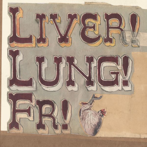 Frightened Rabbit - Quietly Now! Liver! Lung! Fr! Frightened Rabbit - Quietly Now! Liver! Lung! Fr!
