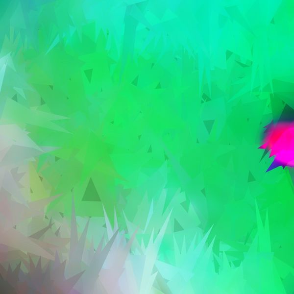 Fonk - Jungle fonk Fonk - Jungle fonk