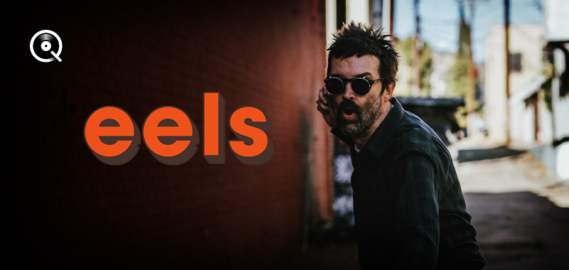 Eels Eels