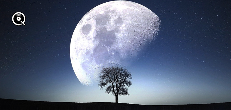 Moonlight Moonlight