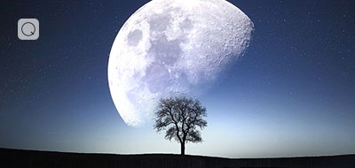 Moonlight Moonlight