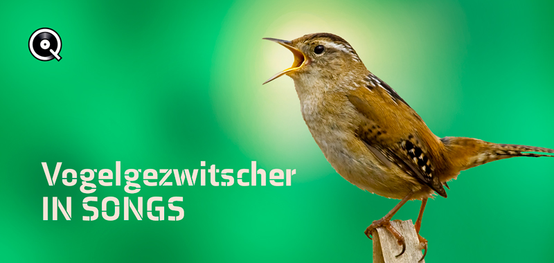 Vogelgezwitscher in Songs Vogelgezwitscher in Songs
