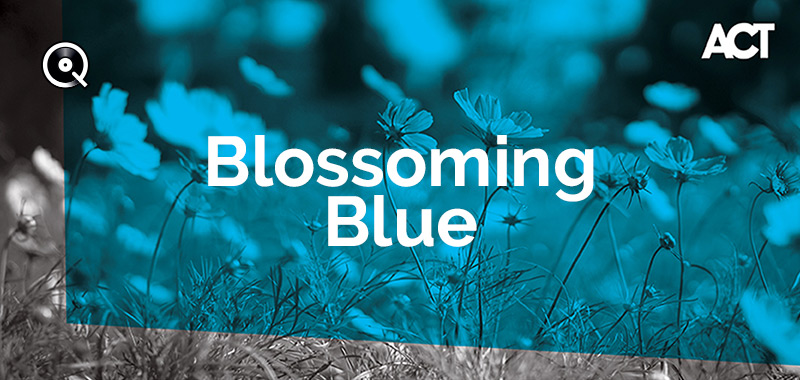 Blossoming Blue Blossoming Blue