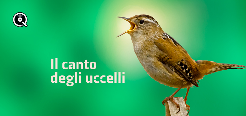 Il canto degli uccelli Il canto degli uccelli