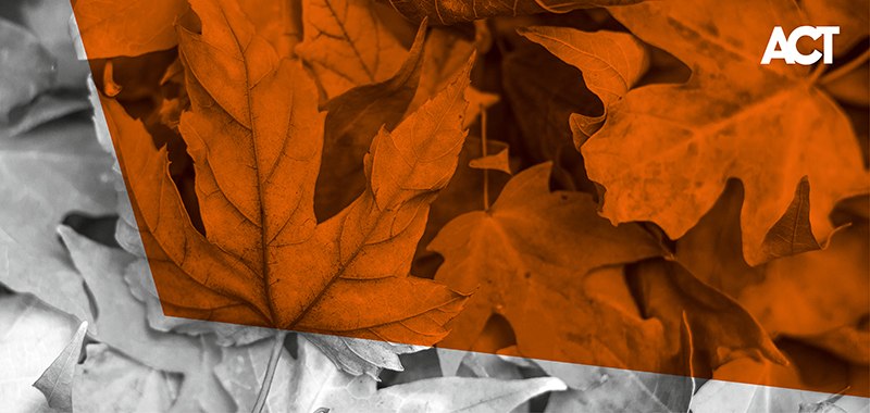 Falling leaves Falling leaves