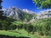 Du Flamenco dans les Asturies ?