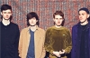 Glass Animals, pop féline
