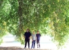 Yo La Tengo, de bruit et de bois