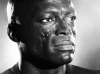 Le 7 de Seal