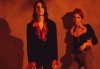 Les Lemon Twigs, pour patienter...