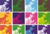 Cecil Taylor, hors cadre