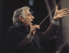 Rare Bernstein