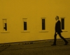 Boz Scaggs par les racines