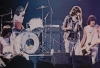 Ramones, bêtes de scène
