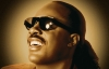 Happy Stevie !