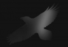 An Hour of Grandiose Music with Sigur Rós