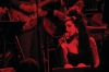 Amy Winehouse, bête de scène