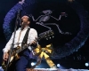 Social Distortion, ouragan sur le Trianon