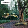 Visionquest